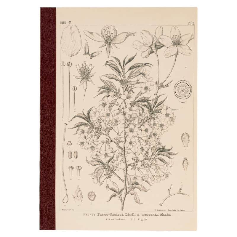 ほぼ日 Hobonichi Techo Accessories Hobonichi Graph Notebook (A5) - Yamazakura