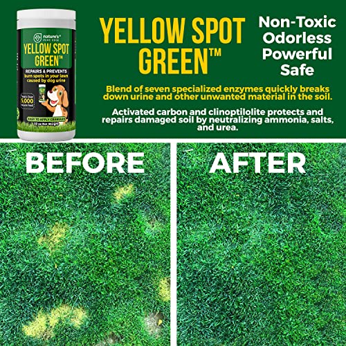 Yellow Spot Green™ Cures Urine Burns and Prevents Yellow Spots in Your