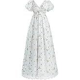 FCCAM Regency Dresses for Women V-Neck Empire Waist 1800s Victorian Dress Costume Ball Gown