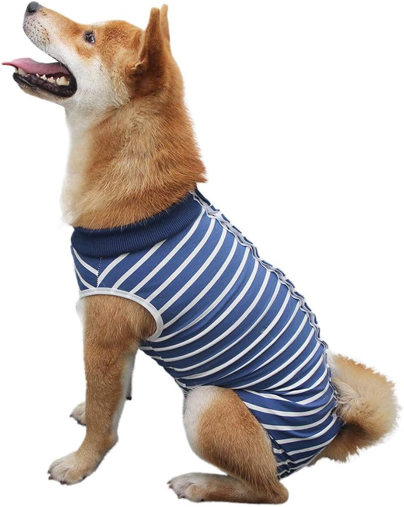 cat t shirt after surgery