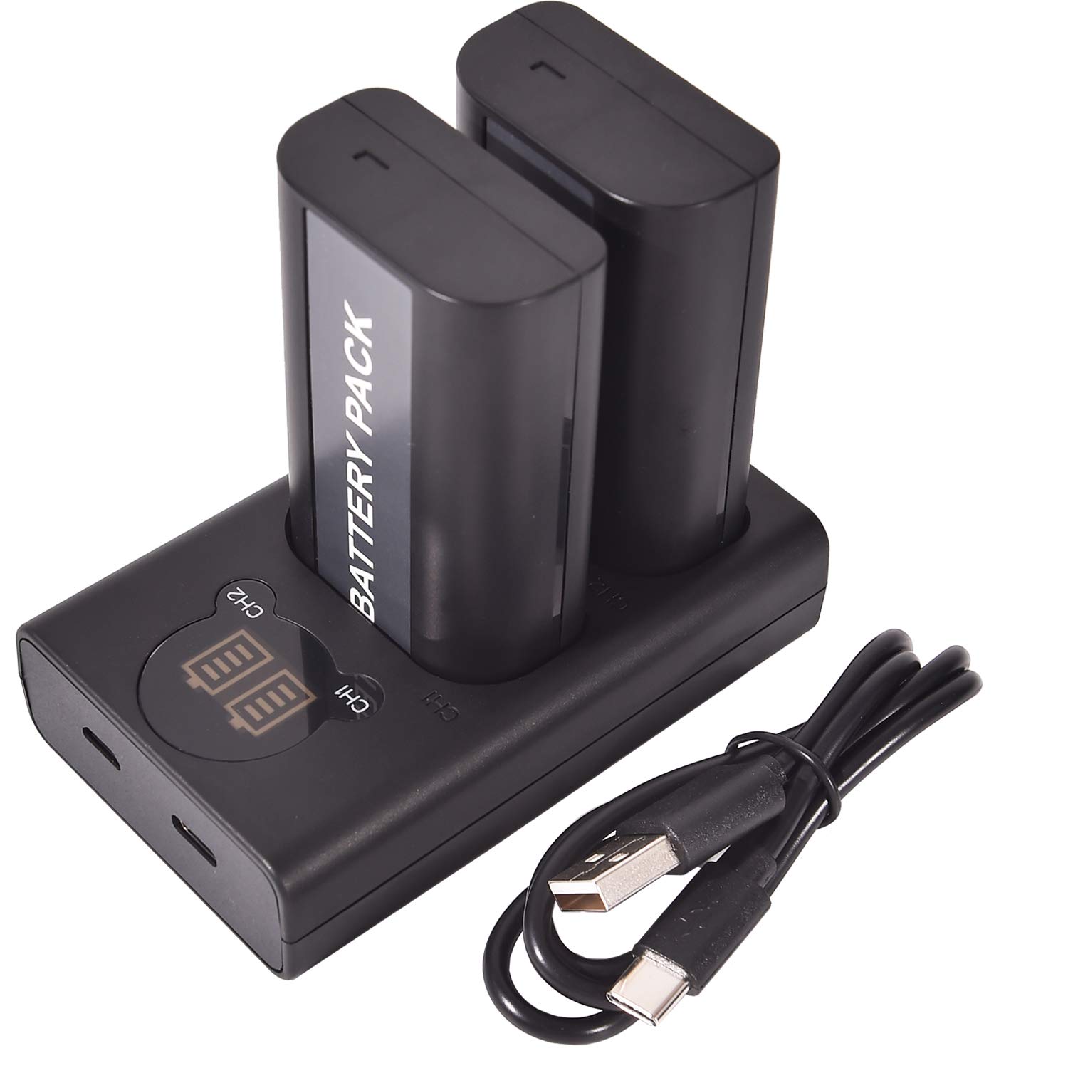 DSTE DMW-BLJ31 DMW-BLJ31e Rechargerable Battery (2-Pack) and Smart LED Dual USB Charger Compatible with Panasonic Lumix S1, Lumix S1R, Lumix S1H, DMW-BGS1R