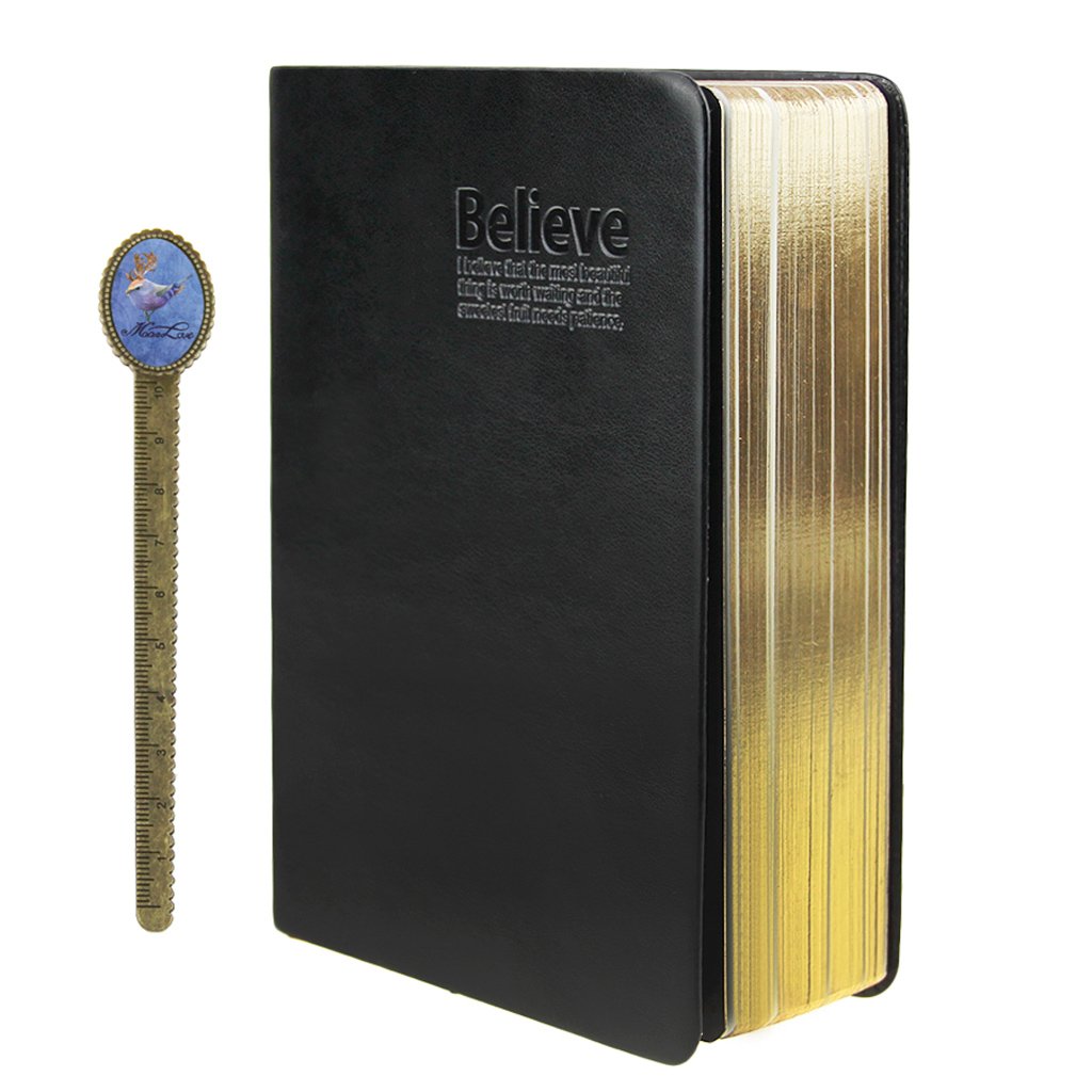 LY Soft Faux Leather Thick 480 Pages Blank Notebook Daily Bible Study Notebook Diaries Well Bound Drawing Sketchbook Scriptbook Life Records (B6, Between A5 and A6) with Georgie Free Bookmarker