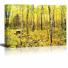 Yellow Trees Vibrant Colors of an Alpine Aspen Forest in The Canadian Rockies in Autumn Wood Framed - Canvas Art Wall Art - 12" x 18"