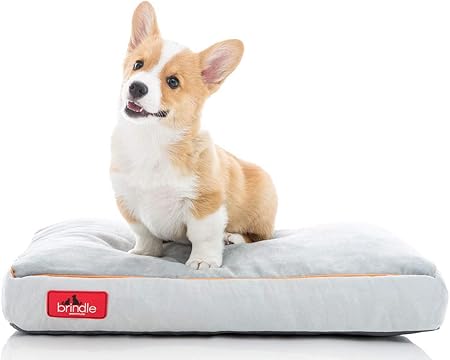 shredded memory foam dog bed