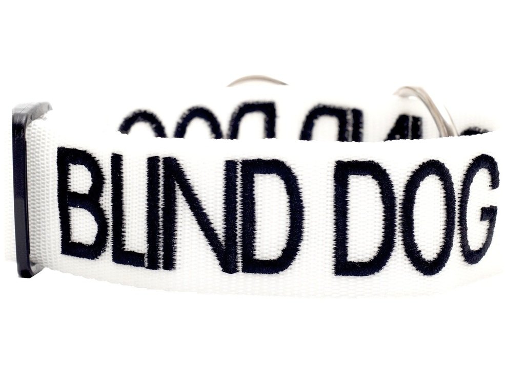Dexil BLIND DOG (Dog Has Limited/No Sight) White Colour Coded Wide L-XXL Semi-Check Dog Collar PREVENTS Accidents By Warning Others Of Your Dog In Advance