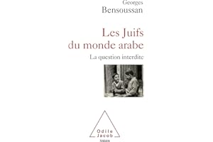 Les Juifs du monde arabe: La question interdite (French Edition)