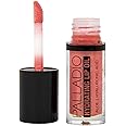 Palladio Hydrating Lip Oil Infused with Hyaluronic Acid, Non-Sticky Formula, Subtle shine with tinted sheer color, liquid lipstick, locks in moisture to prevent chapped lips 0.13 Oz. (FLY)