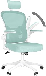 nasPaluro Office Desk Chair Green Ergonomic High Back with Adjustable Headrest
