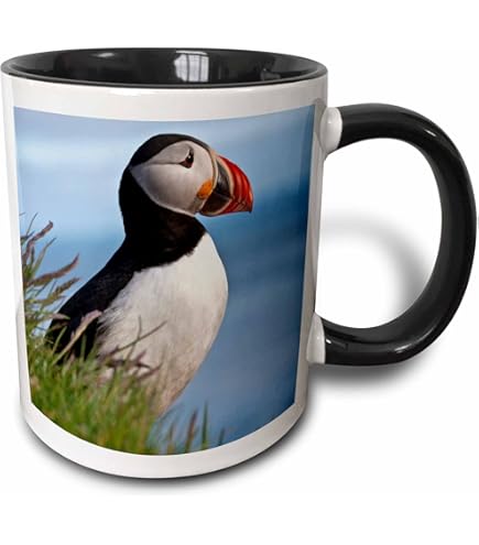 Awowee Mug à Café Rouge Américain Noir Avec Bouchon En Forme De Mésange