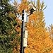 Pole Mount Bracket - SUNLUXY Universal Column Camera Mounting Bracket 8 inches for Outdoor Security CCTV PTZ Dome
