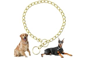 Gold Dog Choker Collar for Large Dogs Heavy Duty Metal Slip Dogs Chain Collars Martingale Training Collars for Small Medium L