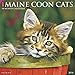 2016 Just Maine Coon Cats Wall Calendar