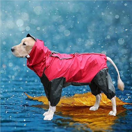 amazon dog coats with legs