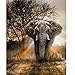 Mobicus 5D DIY Diamond Painting,by Number Kits Crafts & Sewing Cross Stitch，Wall Stickers for Living Room Decoration,Elephant(30X40CM/12X16inch)