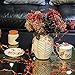 Christmas Tree Cardinal String Lights, Red Snow Bird Decorative Ornaments 10 ft 40 LEDs Battery Operated with Remote Timer for Wedding Birthday Parties Bedroom Home Holiday Decoration