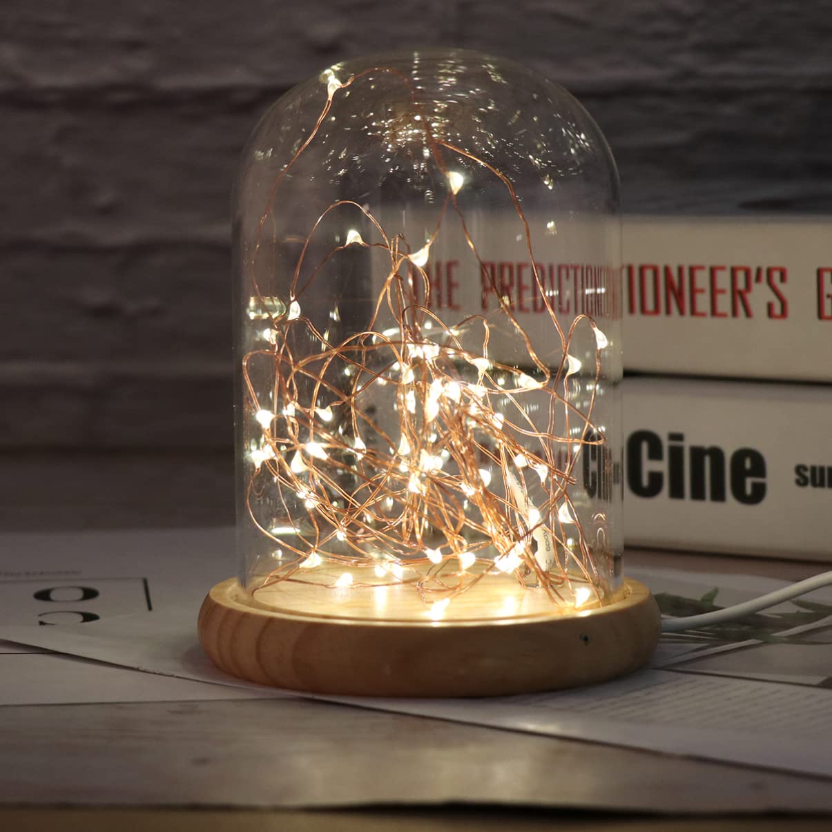 LEDMOMO Glass Dome Lights, Dome Cloche LED Night Light Table Lamp USB LED Bedside Table Lamp (Warm White)