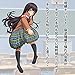 ToysHeart Student Council President Japanese Masturbator Onahole