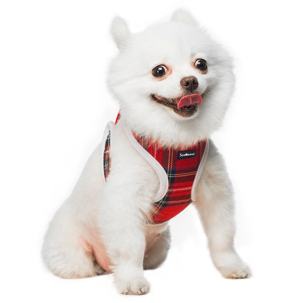 Small Dog Harness and Lead - Red Plaid Adjustable Vest for Puppy Cats Small Pets Cute and Soft