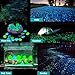 SUNNEST Glow in The Dark Pebbles, Glow Decorative Stones Rocks, Luminous Pebbles for Outdoor Decor, Garden Lawn Yard, Aquarium, Walkway, Fish Tank, Pathway, Driveway(200PCS) (Blue&Green)