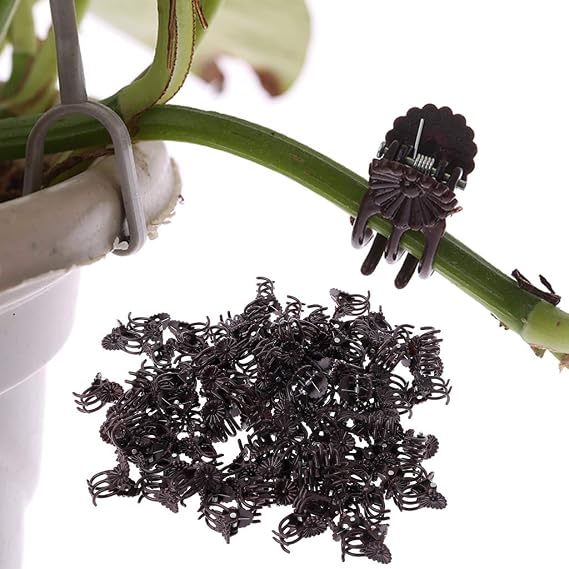 Ycncixwd 100 Unidades orquídeas de Flores de Margaritas Clips de ...