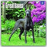 Great Danes - 2017 Calendar 12 x 12in
