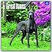 Great Danes - 2017 Calendar 12 x 12in