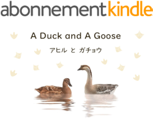 Download ???????? “A Duck and A Goose ????????” (English Edition) PDF