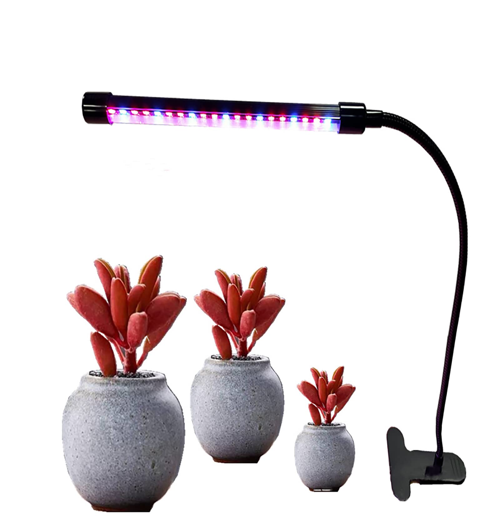 WANGCL 10W lamp for plants indoor grow light LED full spectrum with 3/9/12H timer 3 types of mode 10 types of brightness for Indoor Plant Veg and Bloom