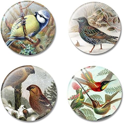 Art Magnet Birds throughout Art History, Set of 4 Refrigerator Magnets with Beautiful Bird Illustrations, Gift Set for Home or Office, Made in USA