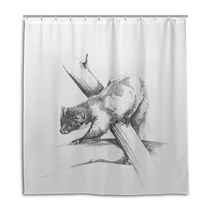 Amazon Com Flaun Ye Store Squirrel Shower Curtain Thicken