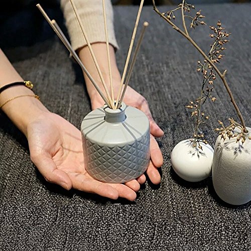 HOSSIAN Set of 100 Reed Diffuser Sticks - Wood Rattan-Reed Sticks -Diffuser Glass Bottles-Diffuser Refills- Spa-Aromatherapy(7" 17cm)
