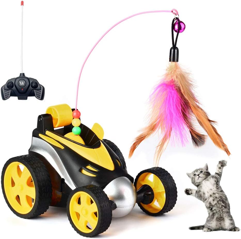 cat remote control car
