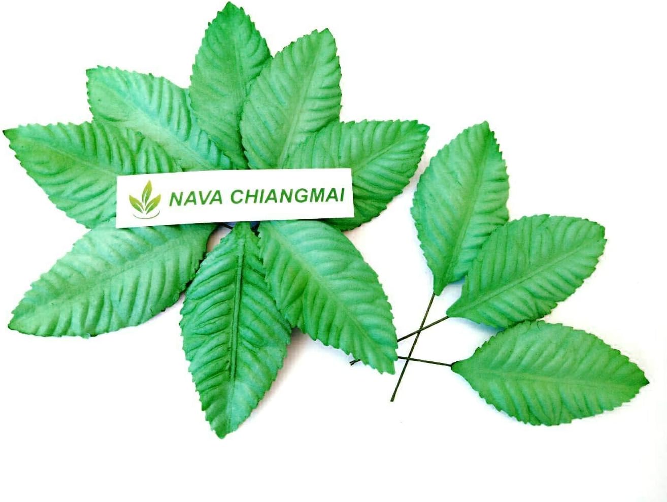 NAVA CHIANGMAI 50 Mulberry Paper Green Leaves, Mulberry Paper Flowers, Autumn Leaves, Wedding Flowers, Fall Leaves, Fall Wedding Decoration, DIY Wedding, Wedding Decor, Paper Leaves