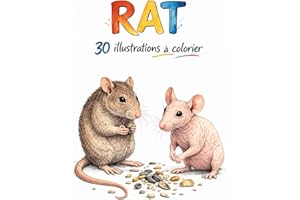 RAT: 30 illustrations à colorier