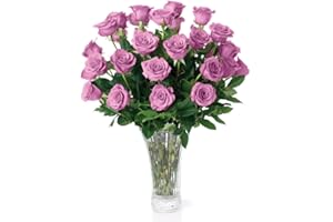 Aquarossa Farms – Flowers for Delivery, Fresh Flowers Bouquet, Handpicked from the Farm, Gift for Birthday, Anniversary, or Just Because – 24 Fresh Roses