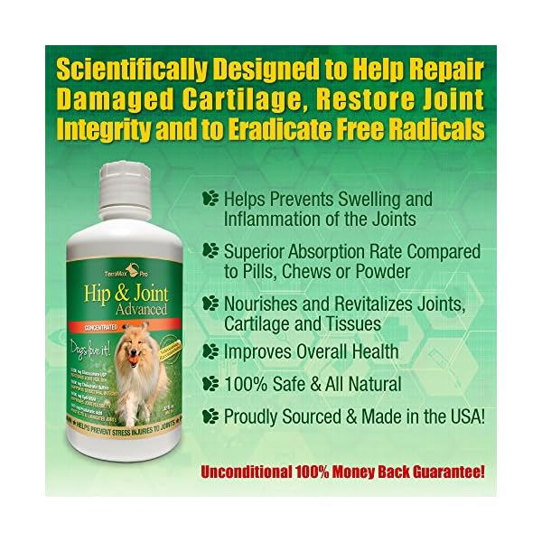 Concentrated Liquid Glucosamine for Dogs ? Advanced Hip and Joint