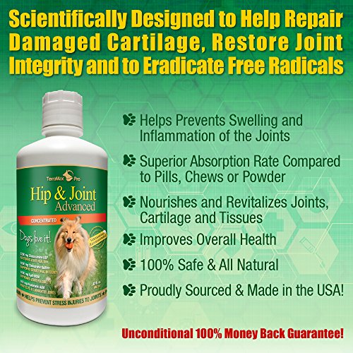 Concentrated Liquid Glucosamine for Dogs ? Advanced Hip and Joint