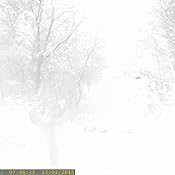 Amazon.com: Amcrest ATC-1201 12MP Digital Game Cam Trail