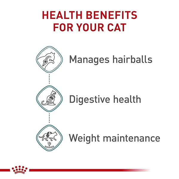 ROYAL CANIN HAIRBALL CARE THIN SLICES IN GRAVY WET CAT FOOD, 3 OZ CAN (24-COUNT)
