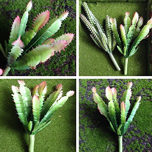 Lopkey Fake Succulent Flora Artificial Cacti Plants set of 2