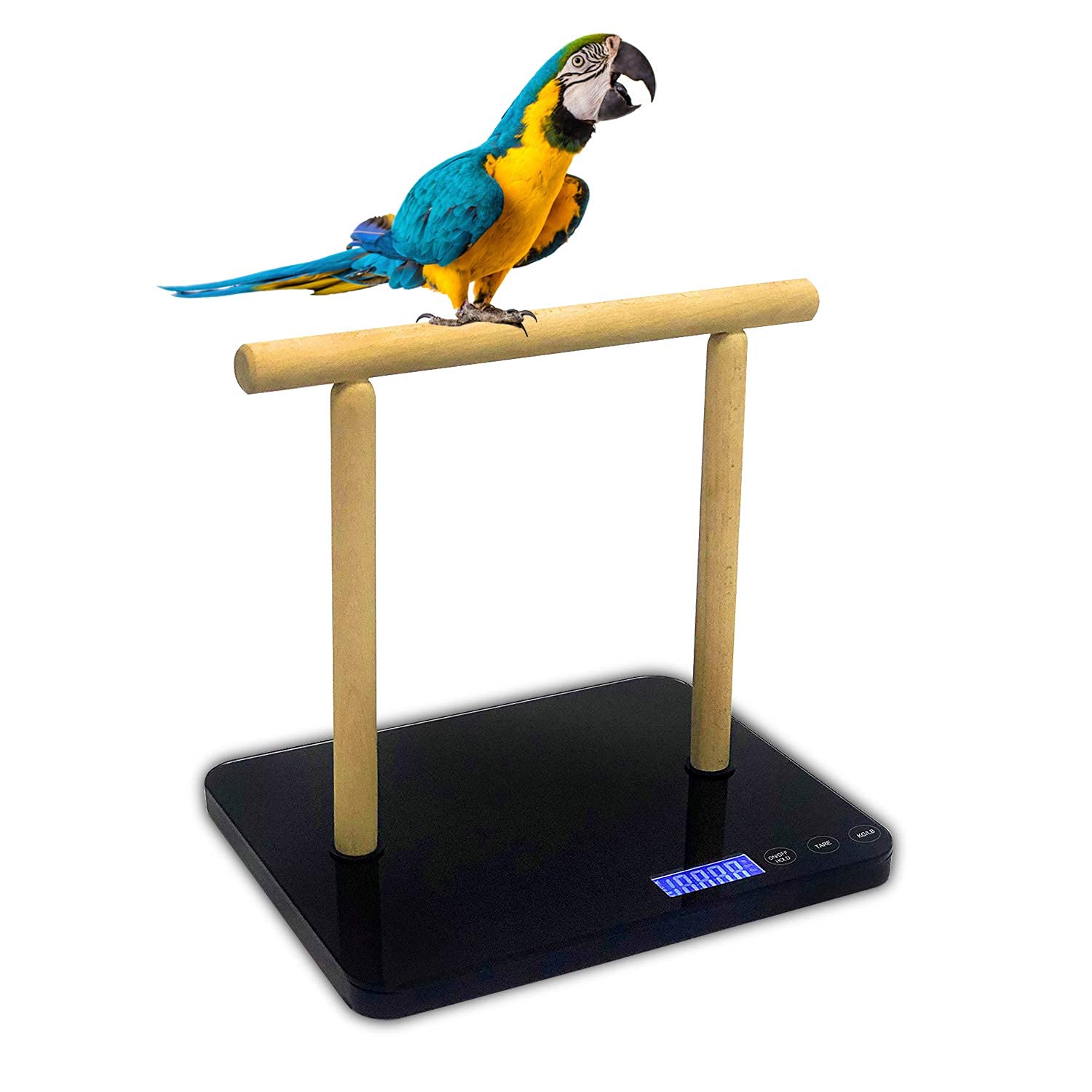 MINDPET-MED Bird Scale, Black, Gram Precision up to ±1g, Suitable for Macaw, Parrot and All Kinds of Bird