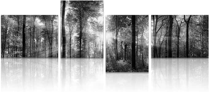 Amazon.com: Visual Art Decor - Framed Modern Black and White Picture