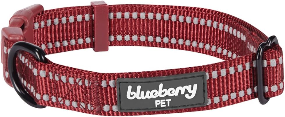 Best Blueberry Collar 3M