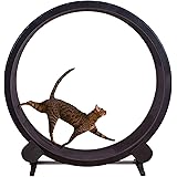 TWW Treadmill Ferris Wheel Pet Furniture Cat Scratch Board Grab Crawling Shelf Wheel Rotation Fitness Weight Loss Toys