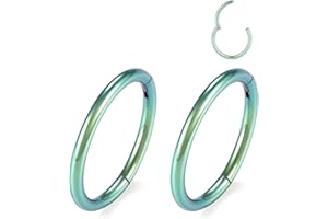 GAGABODY 2 Pcs Nose Rings 20G 18G 16G 14G 12G 10G 8G Surgical Steel Piercing Rings for Nose Septum Cartilage Helix Tragus Conch Rook Daith Lobe from 5mm to 16mm Seamless Hoop Unisex Hinged Earrings