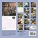 Thomas Kinkade: The Disney Dreams Collection 2015 Wall Calendar