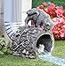 Collections Etc Curious Kitty Cat and Frog Gutter Downspout, Hand-Painted, Hollow Tree Stump Design, Grey