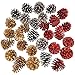 Supla 30 Pcs Assorted Natural Pine Cones Frosted Gold Red Pine Cones Ornaments Dried Real Preserved Pine Cones 2