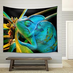 Yemen Chameleon Isolated on Black Background - Fabric Wall Tapestry Home Decor - 51x60 inches