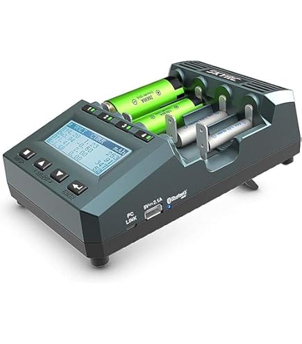 Amazon.com: SkyRC MC3000 多功能化學充電器: 玩具和遊戲